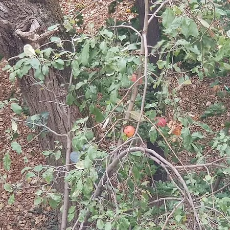 Casa Georgia Titan Apartamento Bucareste